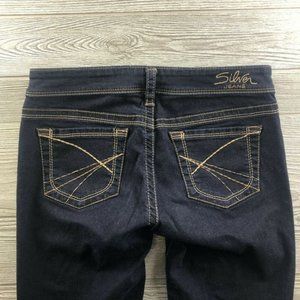 Silver Jeans Aiko Skinny Slim Fit Womens Dark Wash